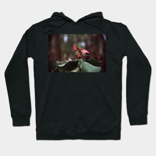 Trillium 35mm Photograph Hoodie